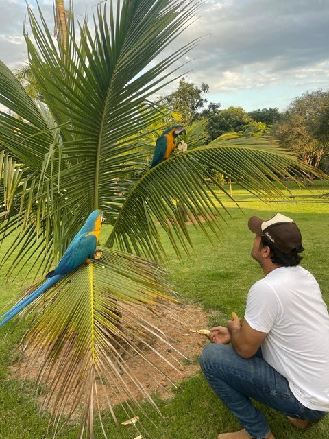 Quanto mais reconheço as maravilhas de Deus, mais percebo que Sua graça está presente em todos os detalhes da vida 🦜
#padrealessandrocampos #natureza #gratidão