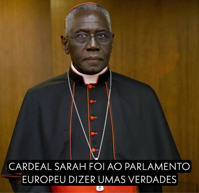 O Cardeal Robert Sarah criticou o aborto, a ideologia de género, a colonização ideológica e ainda o Islão. Algumas citações:
“Quando a Europa constrói direitos dissociados da verdade sobre a pessoa humana — como o ab…