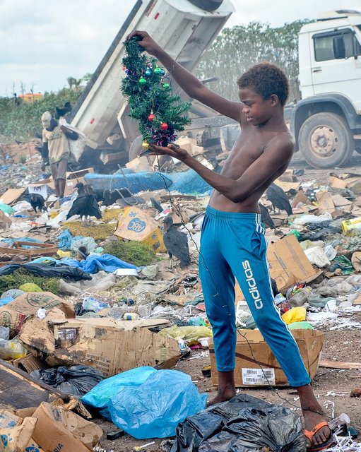 E vamos lá em mais um ano que a fotografia do Gabriel @gabrielsilvaofcc circula pelo mundo inteiro com um oceano de gente tendo pena do menino de 12 anos que descobriu uma árvore de Natal em um Lixão a céu aberto em u…