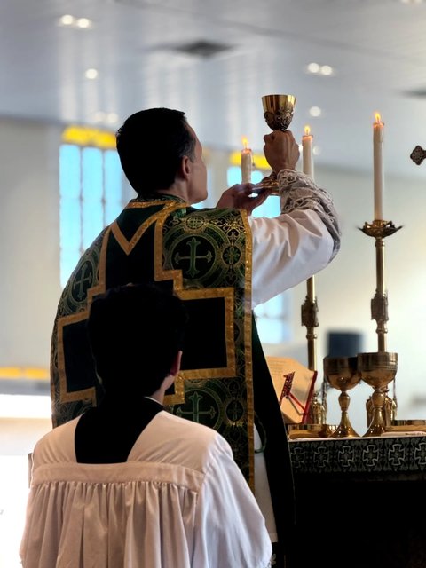 16° Domingo Tempo Comum
Por que Deus permite o joio dentro da Igreja?
O convívio entre bons e maus faz parte da Providência divina: aos justos, para que cresçam na virtude; aos injustos, para que emendem de vida; e …